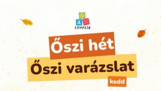 Varászlatos őszi hét - kedd